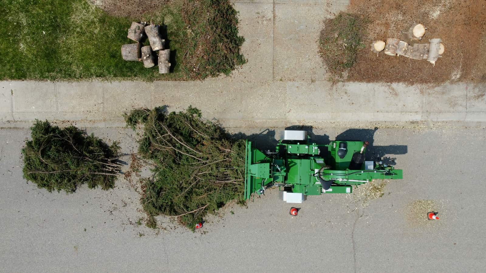 Stump Grinding Dallas